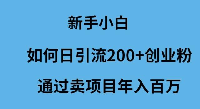 (9668期)新手小白如何日引流200+创业粉通过卖项目年入百万-梦凌网创