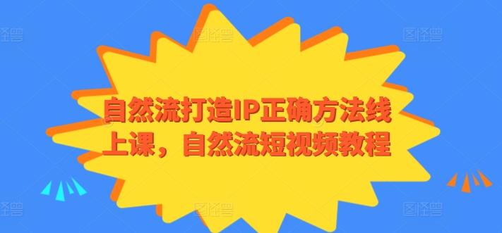 自然流打造IP正确方法线上课，自然流短视频教程-梦凌网创