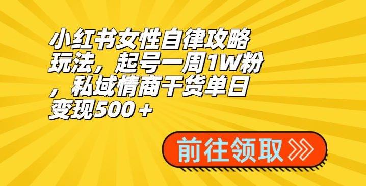 小红书女性自律攻略玩法，起号一周1W粉，私域情商干货单日变现500＋-梦凌网创