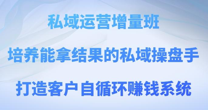 私域运营增量班，培养能拿结果的私域操盘手，打造客户自循环赚钱系统-梦凌网创