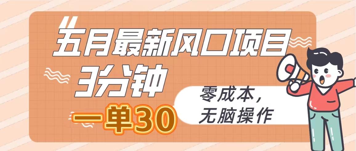 五月最新风口项目，3分钟一单30，零成本，无脑操作-梦凌网创