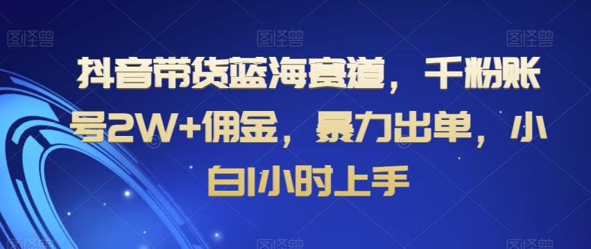 抖音带货蓝海赛道，千粉账号2W+佣金，暴力出单，小白1小时上手【揭秘】-梦凌网创