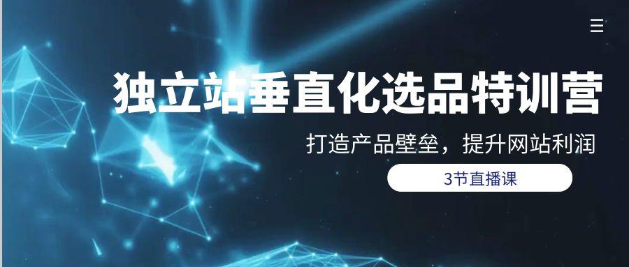 (9925期)独立站-垂直化选品训练营，打造产品壁垒，提升网站利润(3节直播课)-梦凌网创