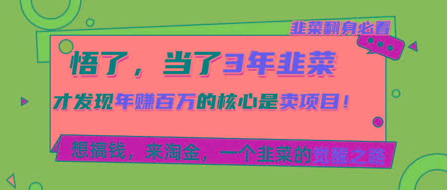 悟了，当了3年韭菜，才发现网赚圈年赚100万的核心是卖项目，含泪分享！-梦凌网创