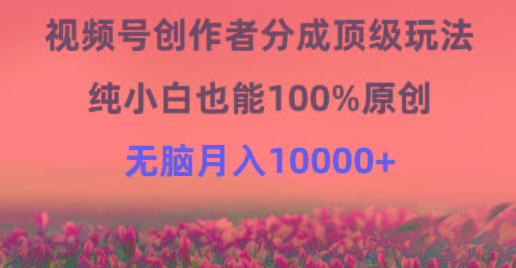 (9608期)视频号创作者分成顶级玩法，纯小白也能100%原创，无脑月入10000+-梦凌网创