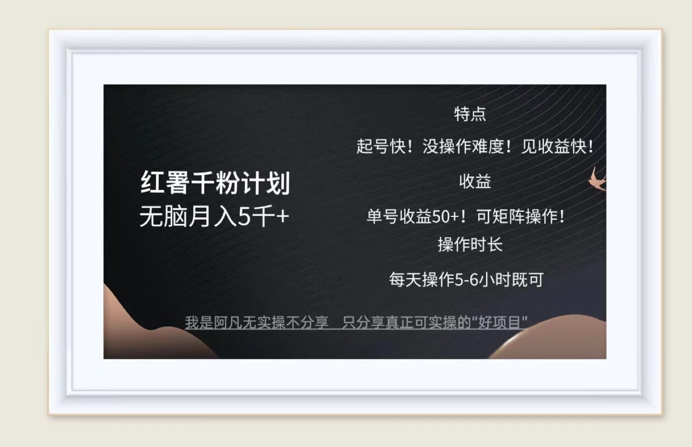 红薯千粉计划无脑月入5千+！既做既赚！-梦凌网创