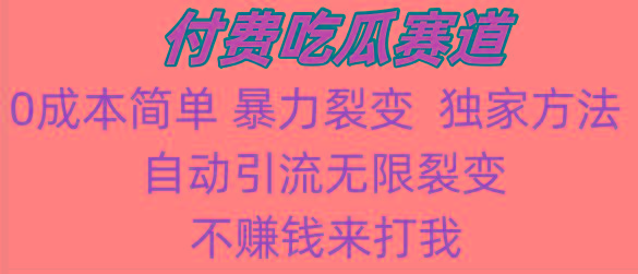 吃瓜付费赛道，暴力无限裂变，0成本，实测日入700+！！！-梦凌网创