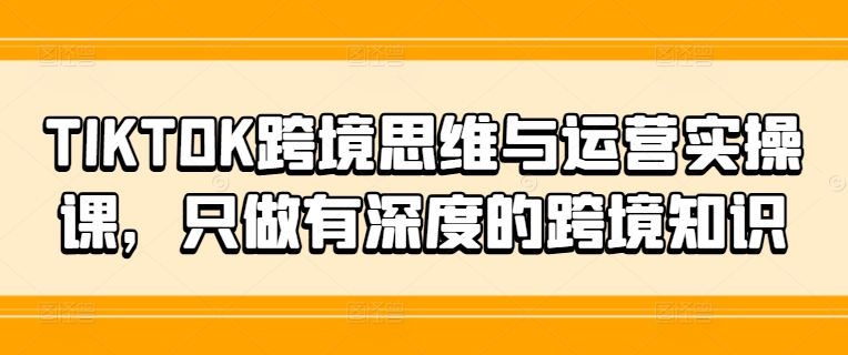 TIKTOK跨境思维与运营实操课，只做有深度的跨境知识-梦凌网创