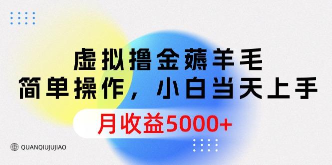 (9864期)虚拟撸金薅羊毛，简单操作，小白当天上手，月收益5000+-梦凌网创