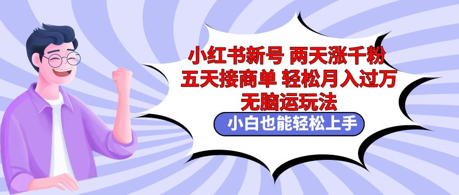 小红书新号两天涨千粉五天接商单轻松月入过万 无脑搬运玩法 小白也能轻…-梦凌网创