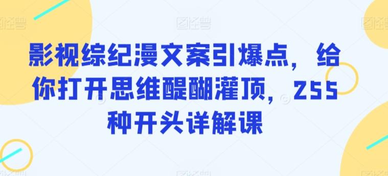 影视综纪漫文案引爆点，给你打开思维醍醐灌顶，255种开头详解课-梦凌网创