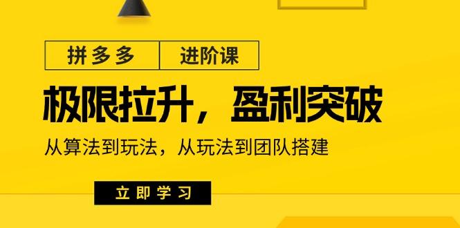 拼多多·进阶课：极限拉升/盈利突破：从算法到玩法 从玩法到团队搭建-18节-梦凌网创