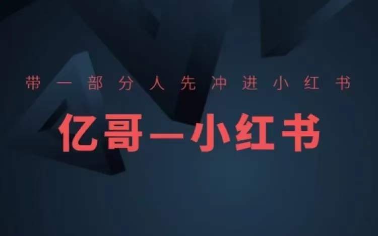 ​​带一部分人先冲进小红书，小红书开店、选品、爆款裂变-梦凌网创