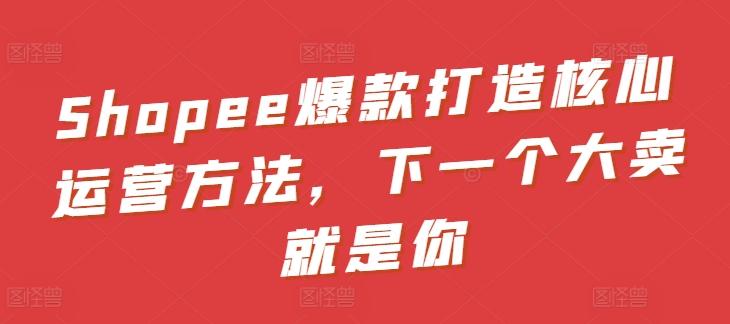 Shopee爆款打造核心运营方法，下一个大卖就是你-梦凌网创
