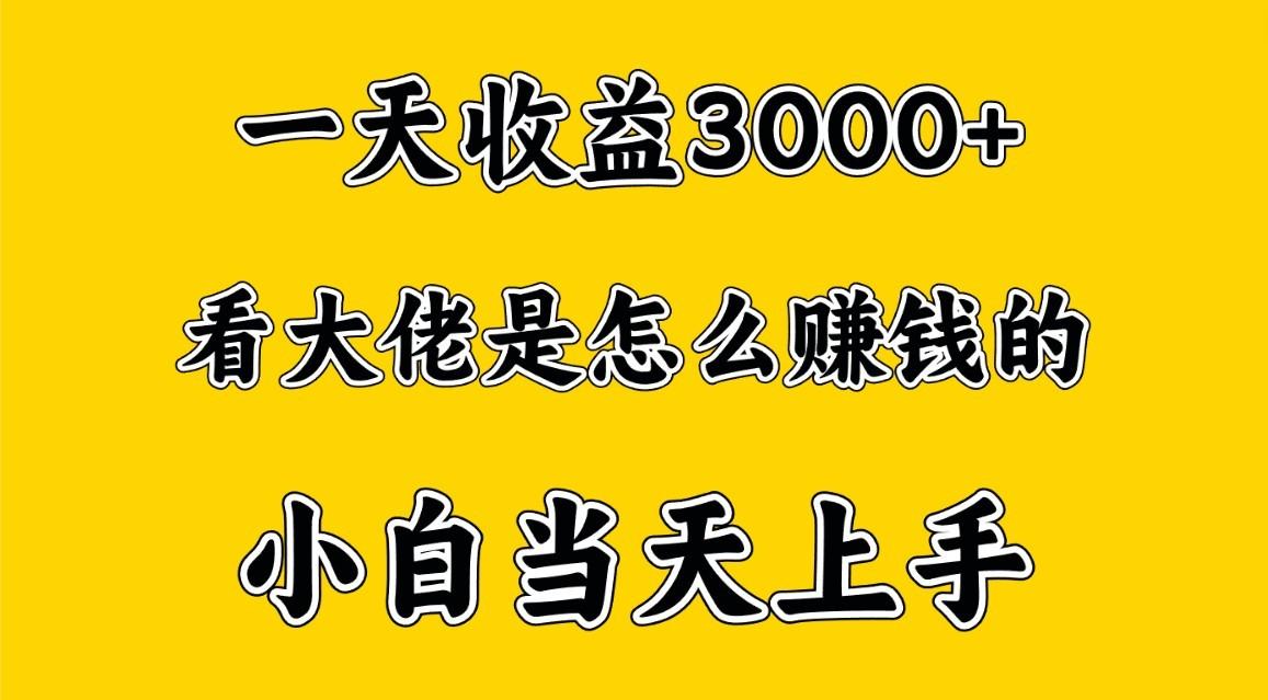 一天赚3000多，大佬是这样赚到钱的，小白当天上手，穷人翻身项目-梦凌网创