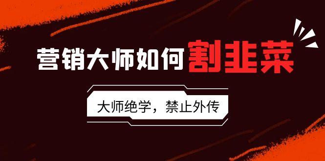 营销大师如何割韭菜：流量大师/讲故事大师/话术大师/卖货大师/成交大师/…-梦凌网创