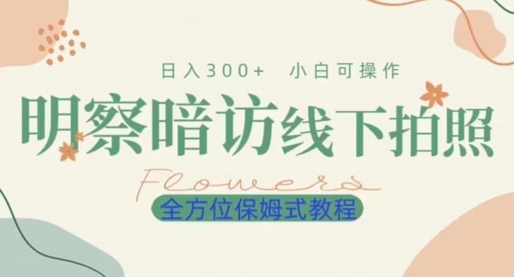 明拍暗拍项目0成本投入日入300+小白可操作保姆式全方位教程-梦凌网创