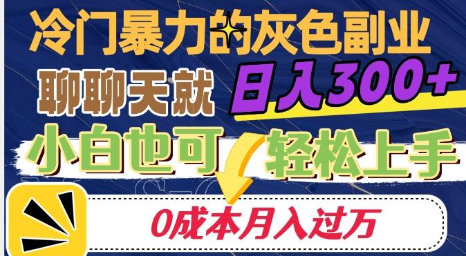 冷门暴利的副业项目，聊聊天就能日入300+，0成本月入过万【揭秘】-梦凌网创