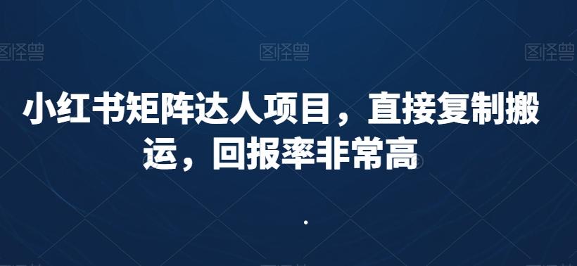 小红书矩阵达人项目，直接复制搬运，回报率非常高-梦凌网创