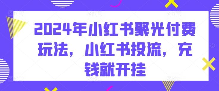 2024年小红书聚光付费玩法，小红书投流，充钱就开挂-梦凌网创