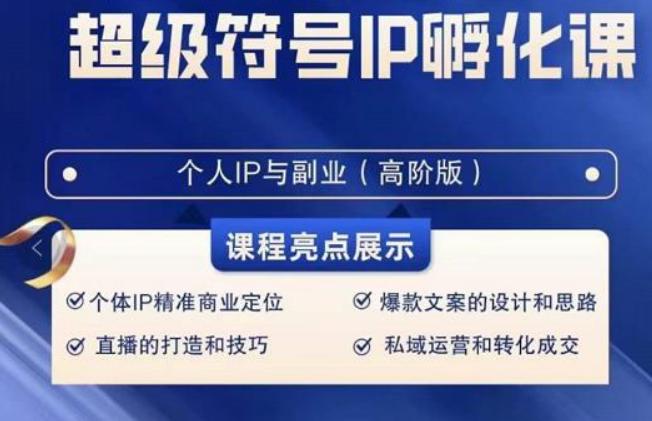 超级符号IP孵化高阶课，建立流量思维底层逻辑，打造属于自己IP（51节课）-梦凌网创