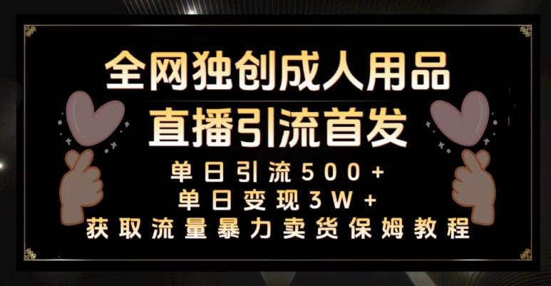 全网独创真人主播+无人直播单日引流500+，橙人用品暴力卖货单日变现3W+保姆似教学2.0【揭秘】-梦凌网创