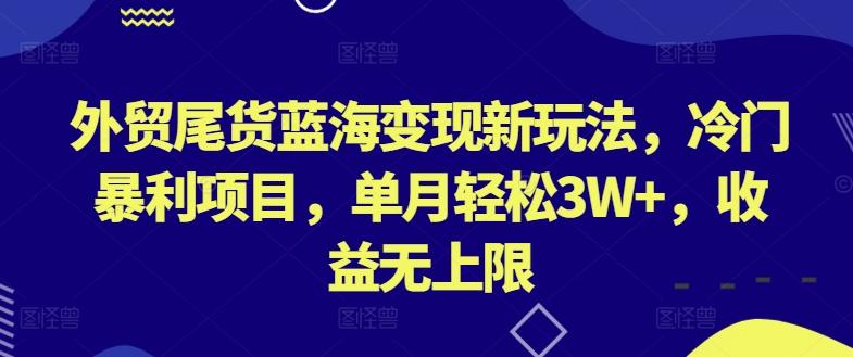 外贸尾货蓝海变现新玩法，冷门暴利项目，单月轻松3W+，收益无上限【揭秘】-梦凌网创
