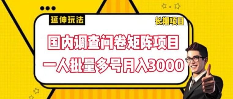 国内调查问卷矩阵项目，一人批量多号月入3000【揭秘】-梦凌网创