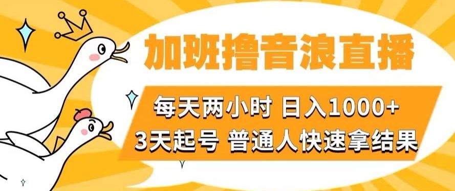 加班撸音浪直播，每天两小时，日入1000+，直播话术才3句，3天起号，普通人快速拿结果【揭秘】-梦凌网创