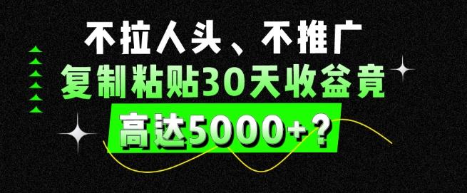 不拉人头、不推广，复制粘贴30天收益竟高达5000+？-梦凌网创