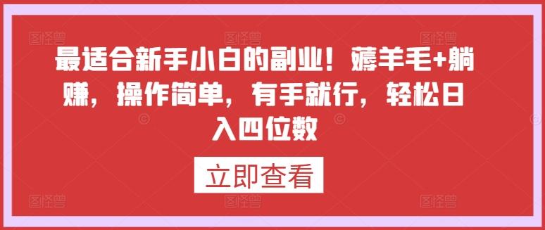 最适合新手小白的副业！薅羊毛+躺赚，操作简单，有手就行，轻松日入四位数【揭秘】-梦凌网创