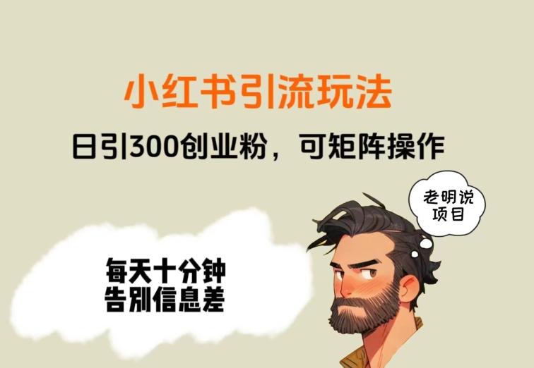 靠小红书视频日印300粉，两分钟一个视频轻松矩阵-梦凌网创