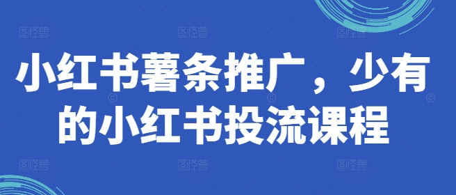 小红书薯条推广，少有的小红书投流课程-梦凌网创