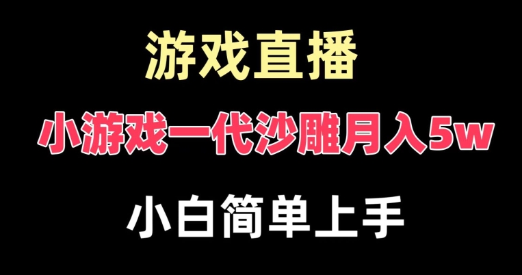 玩小游戏一代沙雕月入5w，爆裂变现，快速拿结果，高级保姆式教学【揭秘】-梦凌网创