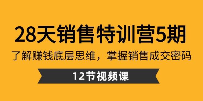 28天销售特训营5期：了解赚钱底层思维，掌握销售成交密码（12节课）-梦凌网创