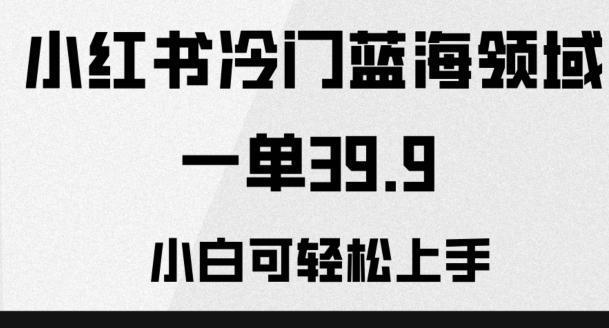 小红书冷门蓝海领域，一单39.9，小白可轻松上手-梦凌网创