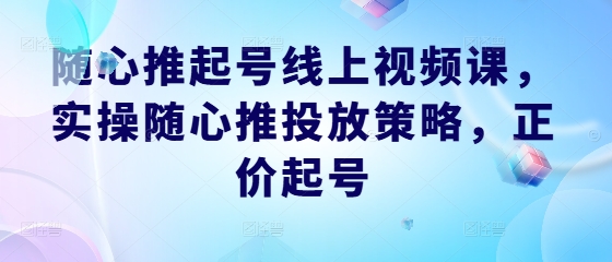 随心推起号线上视频课，实操随心推投放策略，正价起号-梦凌网创