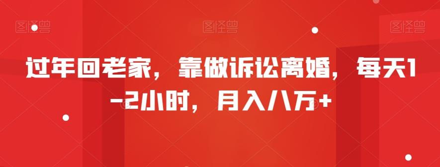 过年回老家，靠做诉讼离婚，每天1-2小时，月入八万+-梦凌网创