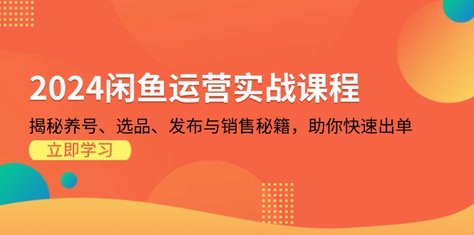 2024闲鱼运营实战课程：揭秘养号、选品、发布与销售秘籍，助你快速出单-梦凌网创