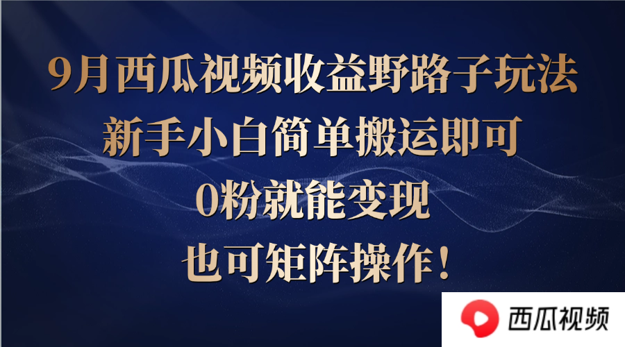 西瓜视频收益野路子玩法，新手小白简单搬运即可，0粉就能变现，也可矩…-梦凌网创