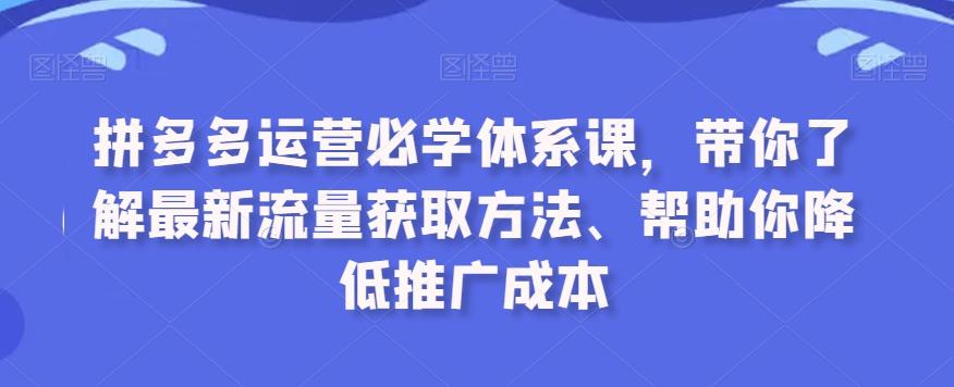 拼多多运营必学体系课，带你了解最新流量获取方法、帮助你降低推广成本-梦凌网创