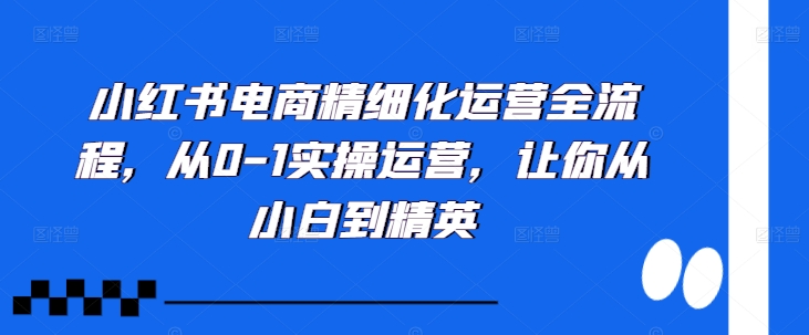 小红书电商精细化运营全流程，从0-1实操运营，让你从小白到精英-梦凌网创
