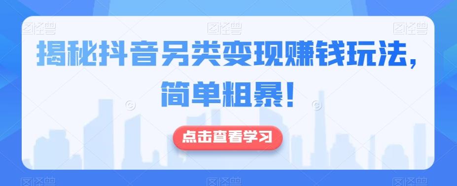 揭秘抖音另类变现赚钱玩法，简单粗暴！-梦凌网创