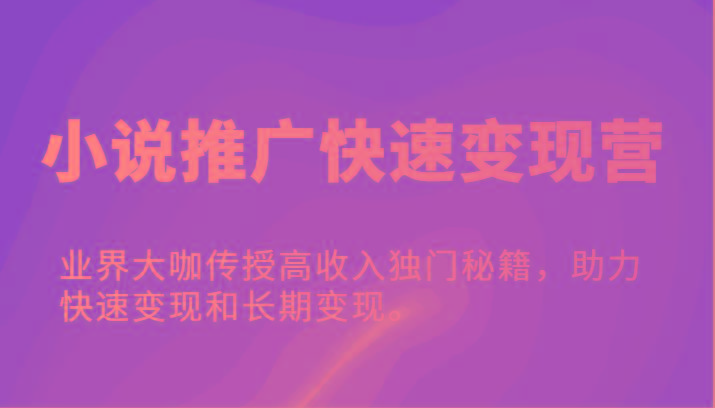 小说推广快速变现营-业界大咖传授高收入独门秘籍，助力快速变现和长期变现。-梦凌网创
