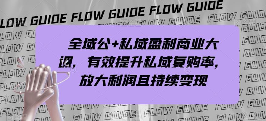 全域公+私域盈利商业大课，有效提升私域复购率，放大利润且持续变现-梦凌网创