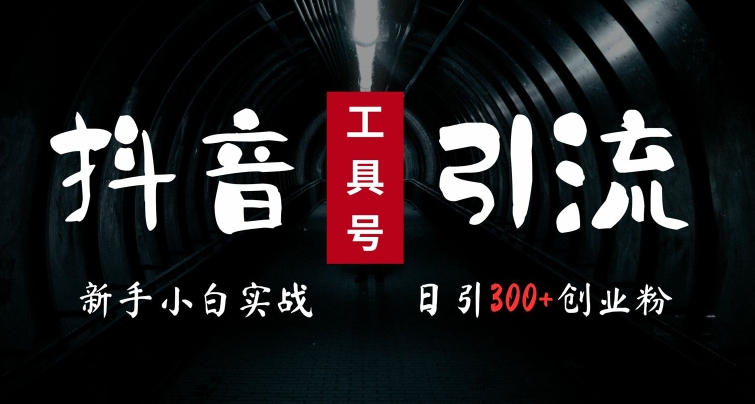 2024最新抖音工具号引流玩法，高效日引300+创业粉，当天变现5k，小白也可成为实战高手-梦凌网创