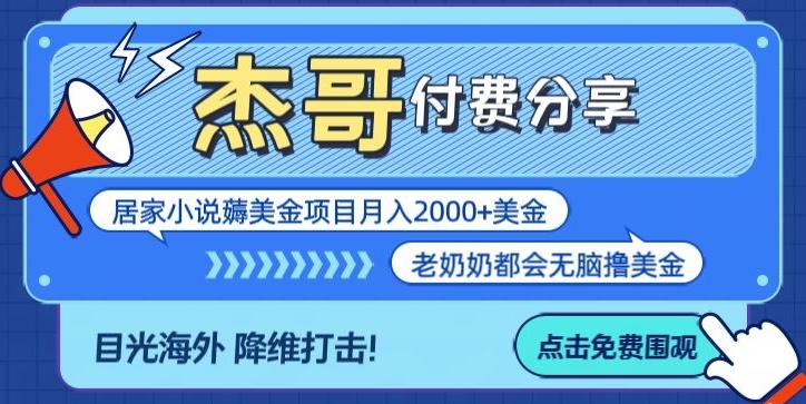 拆解海外撸美金项目月入2000美刀详细指导-梦凌网创