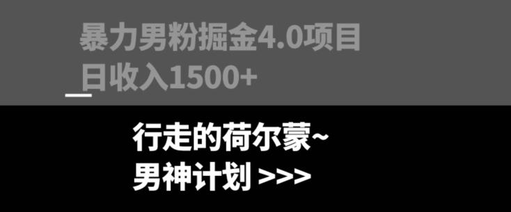 暴力男粉掘金4.0项目不违规不封号无脑复制单人操作日入1000+-梦凌网创
