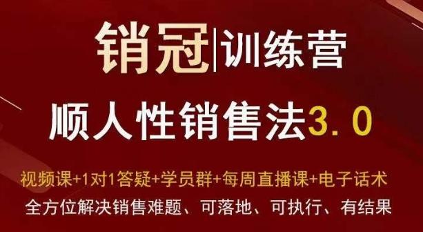爆款！销冠训练营3.0之顺人性销售法，全方位解决销售难题、可落地、可执行、有结果-梦凌网创
