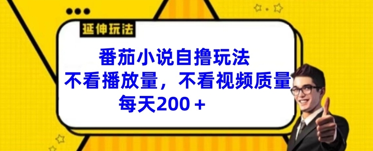 番茄小说自撸玩法，不看播放量，不看视频质量，每天200+【揭秘】-梦凌网创